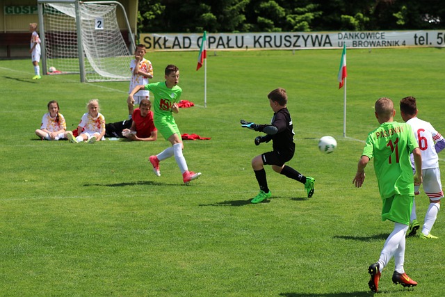 朱俊龙以及 朱俊龙以及