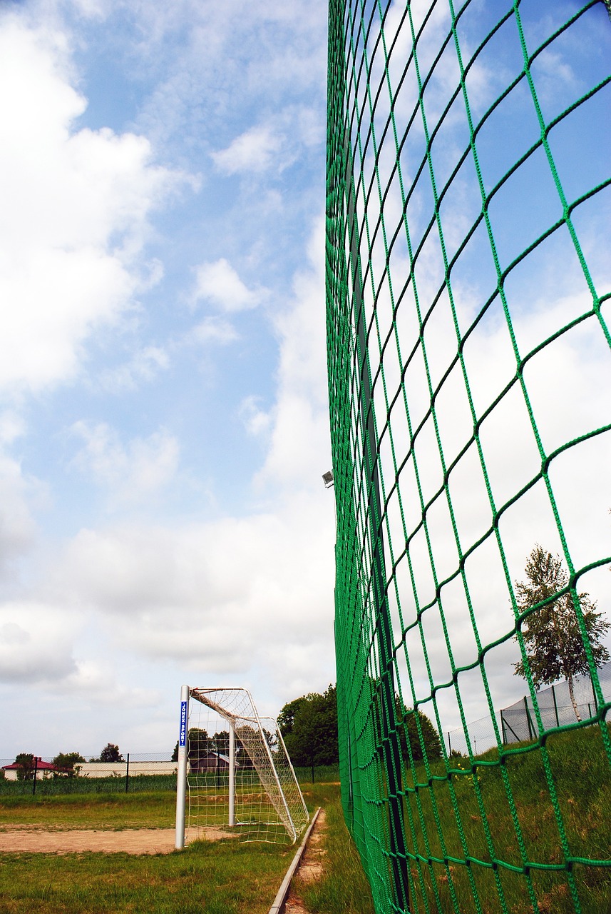 他們不僅在 他們不僅在