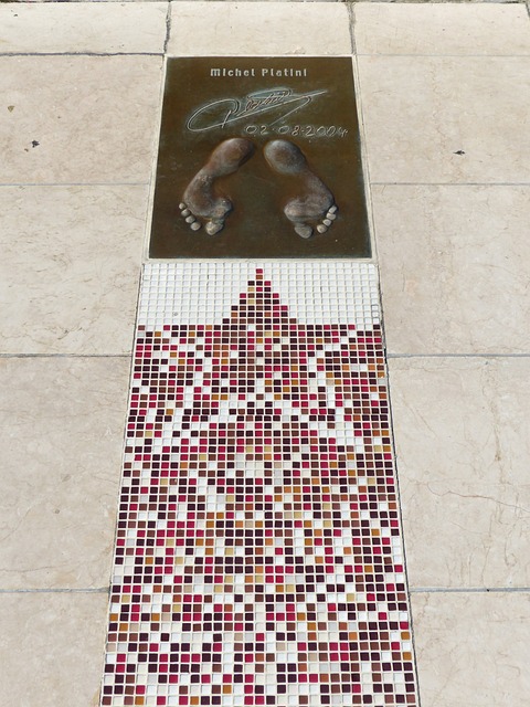 此次代表团 此次代表团