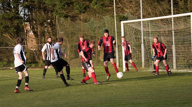 一系列漂亮 一系列漂亮