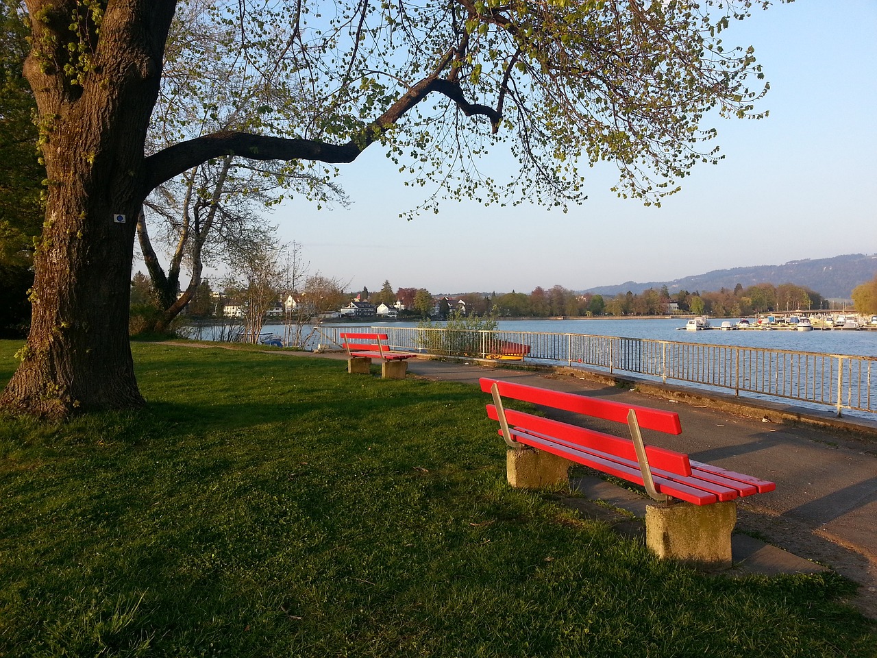 国足需要做 国足需要做