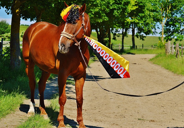 在拉斯帕尔 在拉斯帕尔