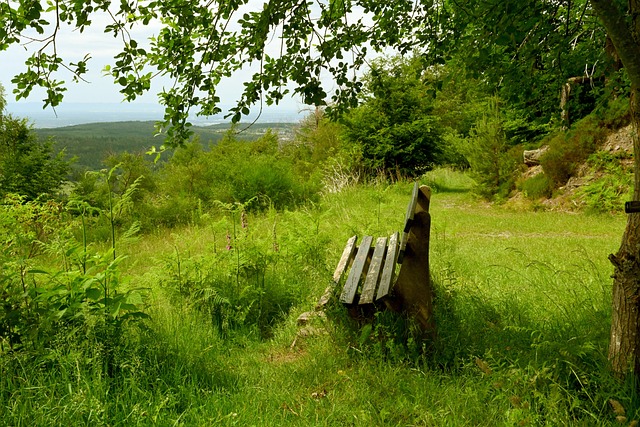 术的推广 术的推广