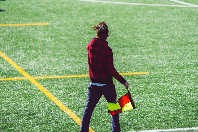 守能够增强 守能够增强