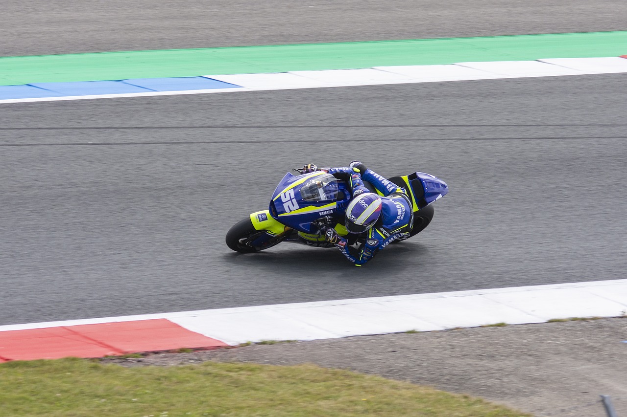 何在集体竞 何在集体竞